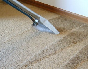 Professional Carpet Cleaners Manchester